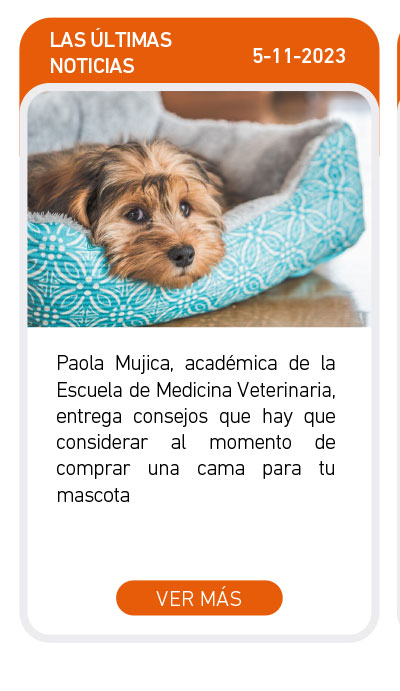 Universidad de Las Am&eacute;ricas