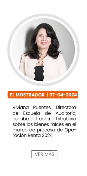 Viviana Puentes, Directora de la Escuela de Auditor&iacute;a, escribe sobre el control tributario sobre los bienes ra&iacute;ces en el marco de proceso de Operaci&oacute;n Renta 2024