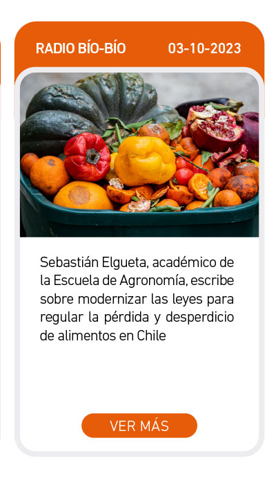 Universidad de Las Am&eacute;ricas