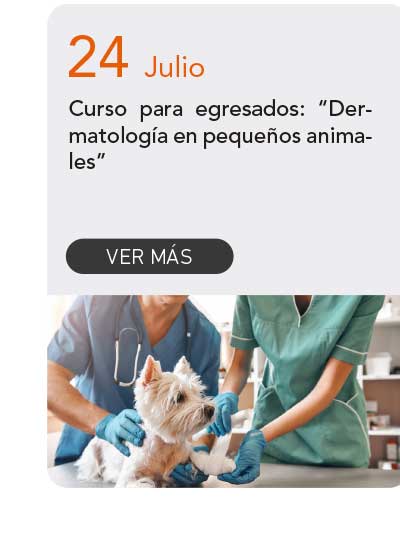 Universidad de Las Am&eacute;ricas