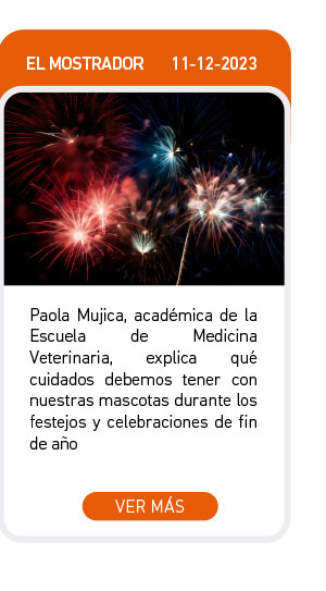 Paola Mujica, acad&eacute;mica de la Escuela de Medicina Veterinaria, explica qu&eacute; cuidados debemos tener con nuestras mascotas durante los festejos y celebraciones de fin de a&ntilde;o
