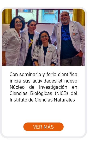 Universidad de Las Am&eacute;ricas