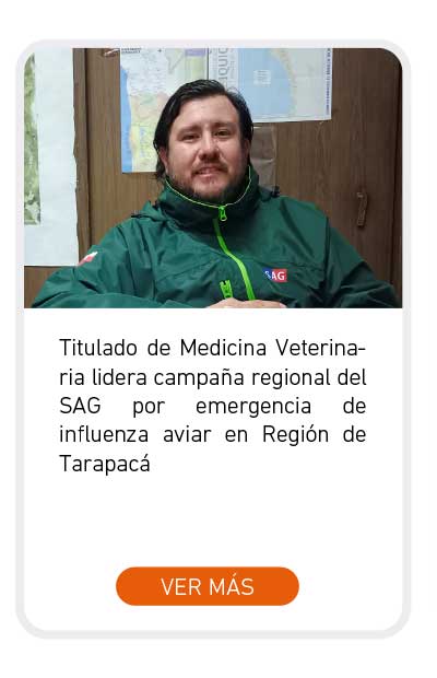 Universidad de Las Am&eacute;ricas