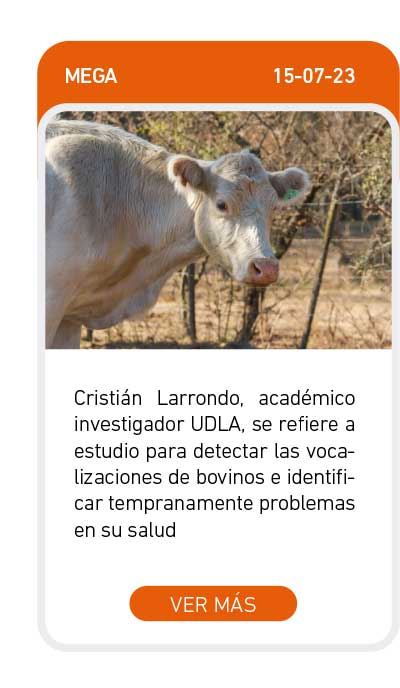 Universidad de Las Am&eacute;ricas