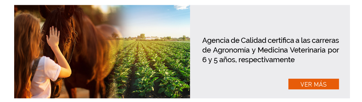 UDLA - Universidad de Las Am&eacute;ricas