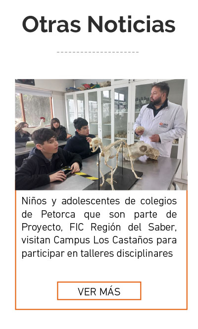 Universidad de Las Am&eacute;ricas