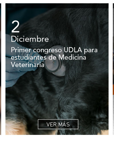 Universidad de Las Am&eacute;ricas