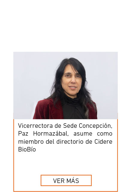Universidad de Las Am&eacute;ricas