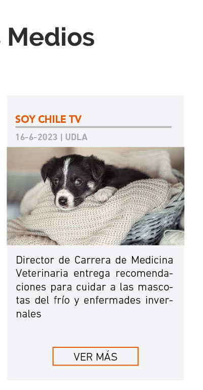 Universidad de Las Am&eacute;ricas