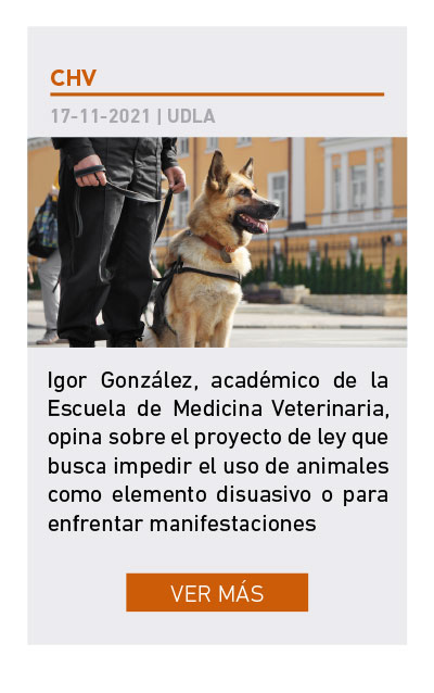 UDLA - Universidad de Las Am&eacute;ricas