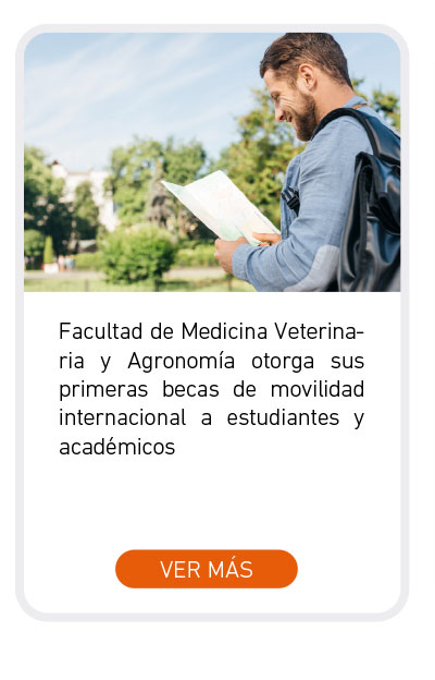 Universidad de Las Am&eacute;ricas