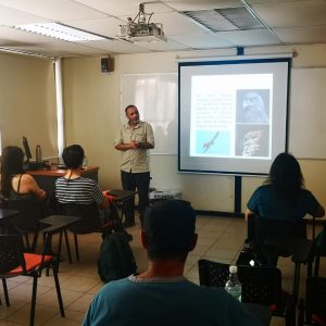 Los proyectos de los académicos Paola Mujica, Karen Valenzuela y Felipe Garrido se basan en medio ambiente, sustentabilidad e innovación.